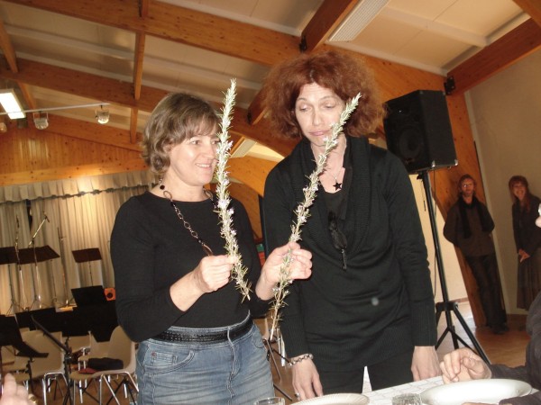 DSC08764.jpg